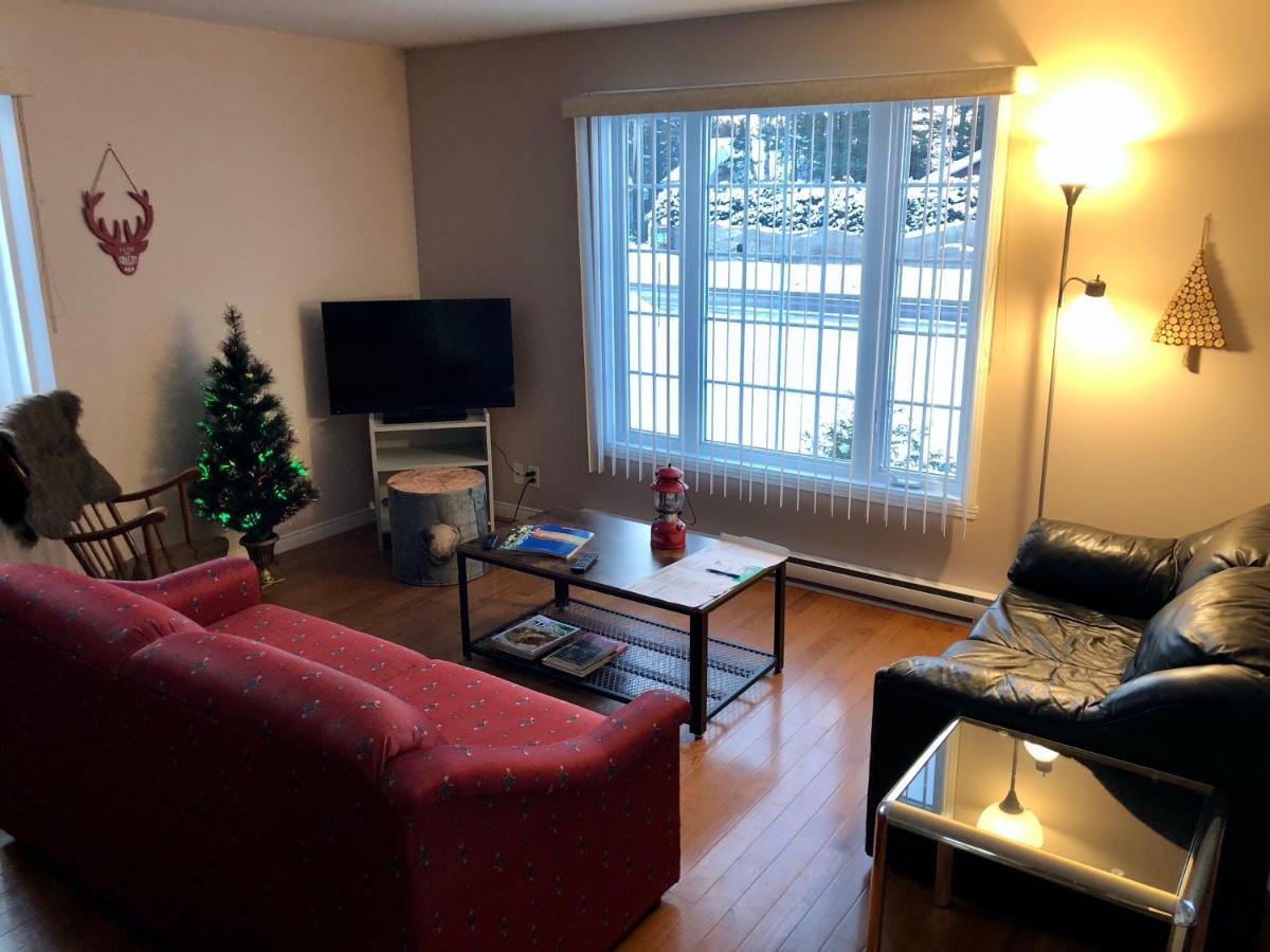 Le Chalet De Claude, Au Pied Des Monts-Valin Saint-David-de-Falardeau 外观 照片