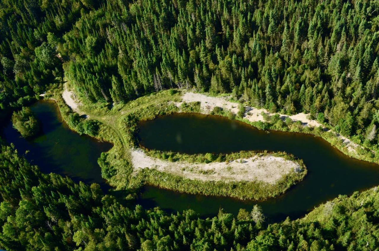 Le Chalet De Claude, Au Pied Des Monts-Valin Saint-David-de-Falardeau 外观 照片