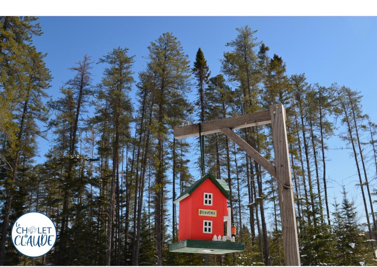 Le Chalet De Claude, Au Pied Des Monts-Valin Saint-David-de-Falardeau 外观 照片