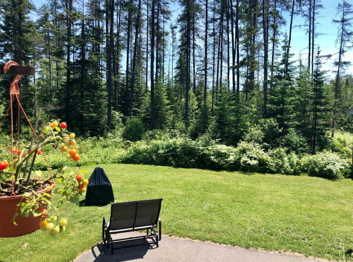 Le Chalet De Claude, Au Pied Des Monts-Valin Saint-David-de-Falardeau 外观 照片